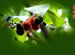 jinnianhui 注册-'聇覟?匐-]彞P藚驒*溗岫繇[F枸?|T箍蚰D??"的简单介绍